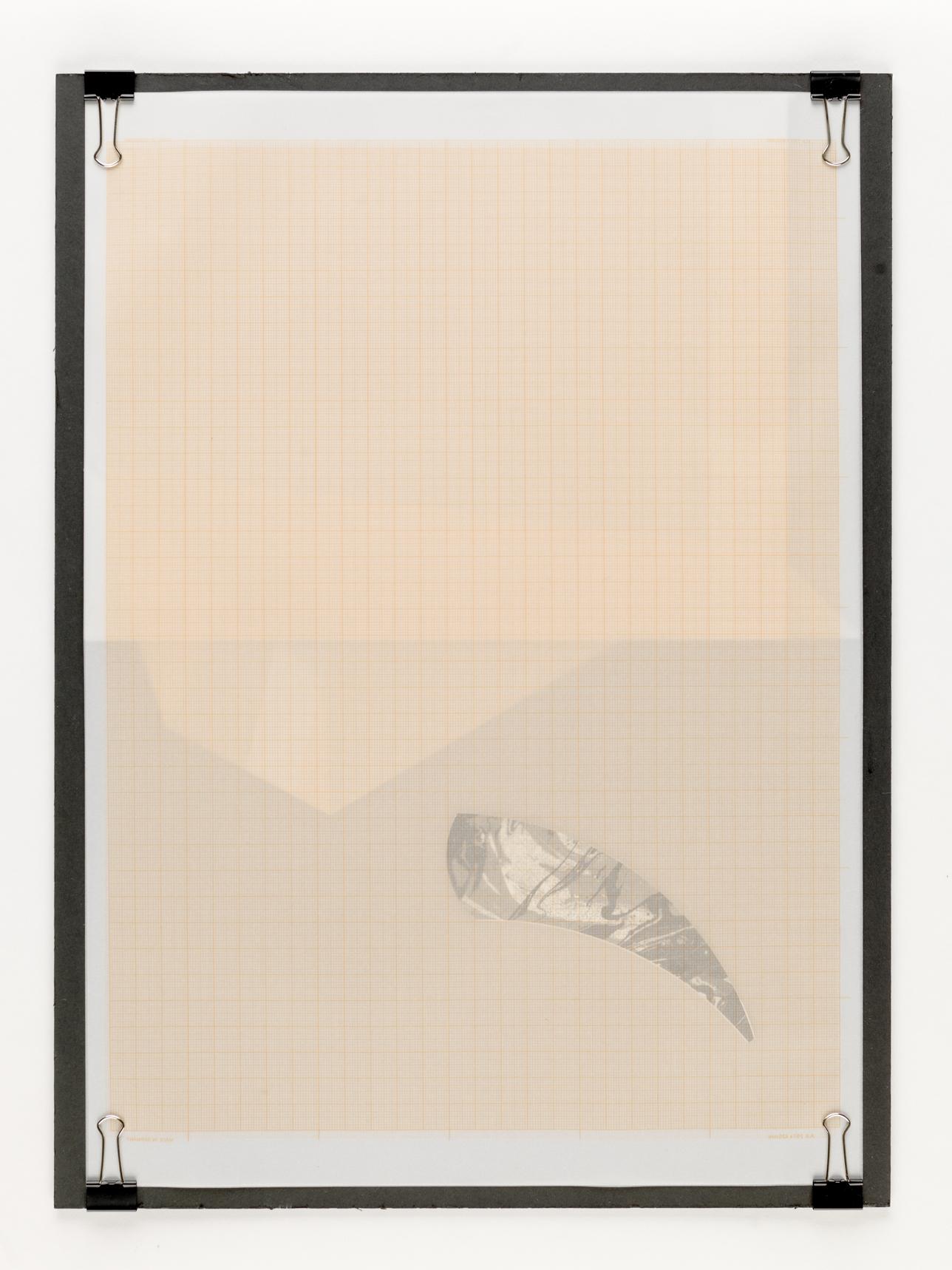 Chaos and Order 2 // Millimeterpapier, transparent // Karton // 43 x 32 cm // 2017